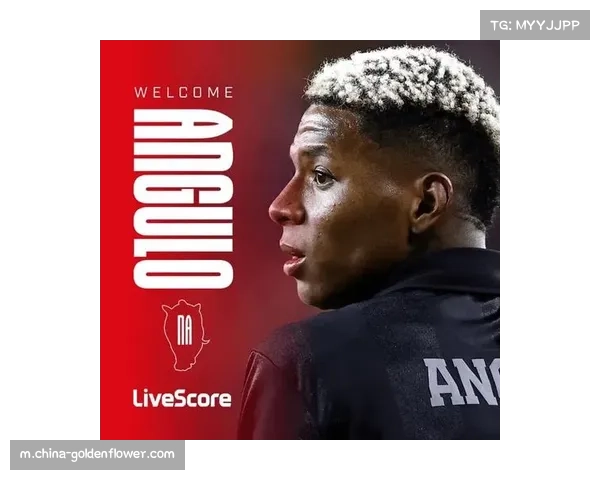 桑德兰1750万镑签下尼尔松-安古洛 为保级注入新活力