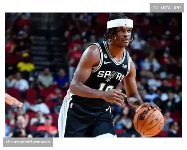 阿利兹·约翰逊发展联盟数据亮眼，深圳盼其提升球队篮板与策应